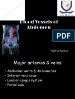 13b.blood Vessels of Abdomen