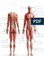 Procedimental Semana 8 Musculos