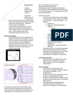 Clase 4 Ritmo Circadiano (Pt2)