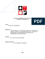 Proyecto Mejoramiento Pistas y Veredas 1