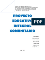 Proyecto Peic