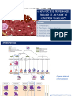 Ud6. Trombopoyesis. Fisiología Plaquetaria. Hemostasia