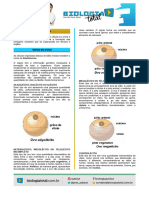 1 Segmentação e Tipos de Ovos - Exercícios Jubilut