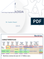 Aula 2 - Bacterias