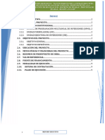 02.01. Resumen Ejecutivo