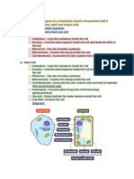 Science Notes KS3