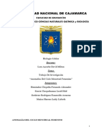 INFORME Anomalias Ciclo Mentsrual