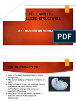 Cell Basics by Muneeb