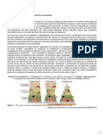 Ecossistema (Formativo)