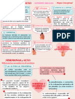 MAPA CONCEPTUAL Y SINTESIS (Katherine Orellana)