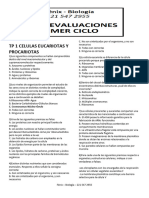 Autoevaluaciones Completas 1º Ciclo SIN Respuestas 2020