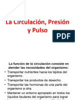 Circulacion Presion y Pulso