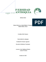 Informe Final