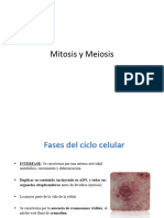 Mitosis y Meiosis