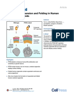 Induction of Expansion and Folding in Human Cerebral Organoids