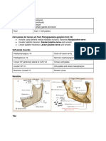 Mouth - Pharynx - Larynx