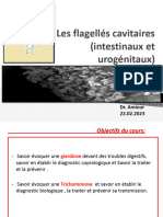 4 - Les Flagellés Cavitaires 2023