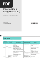 UBA XXI Organizador 1C 2024 91 Biología Nuevo Plan