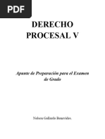 Derecho Procesal V-Apunte General