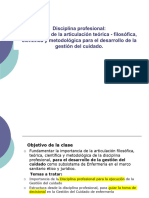 3ºclase U II Importancia de La Diisciplina Profesional en La Gestion Del Cuidado 2018