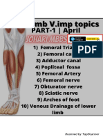 LOWER LIMB ANATOMY L Johari MBBS