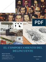 Perfil Del Delincuente