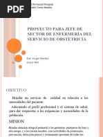 Proyecto para Jefe de Sector de Enfermería