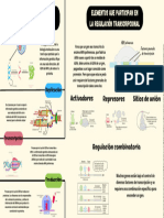 Factores Que Participan en La Regulación de La Transcripción