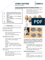 Neurolec Reviewer