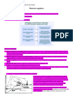 UNIDAD 4.1 Geología