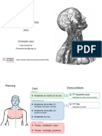 Anatomie Du Cou