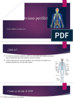 Sistema Nervioso Periférico