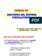 III. Anatomia Sistema Circulatorio