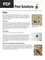 Me School Ipm Factsheet - Flies - 8 15