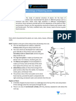 Morphology of Flowering Plants