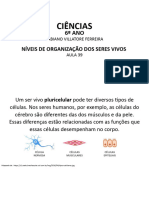 Niveis de Organizacao Dos Seres Vivos