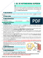 Tema 3. Sindromes de Motoneurona Superior