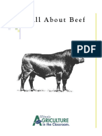 Cookery 10 Beef Worksheet