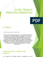 Derecho Del Trabajo Principios Normativos