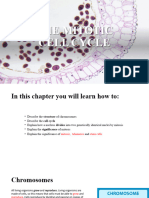 Section 3 - The Mitotic Cycle 1