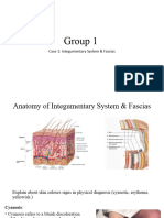 Sistem Integumentum 2