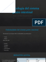 Farmacología Del Sistema Gastro Intestinal