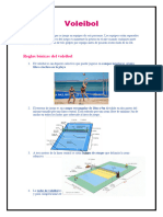 Voleibol