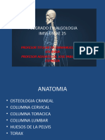 Anatomia Craneo y Columna