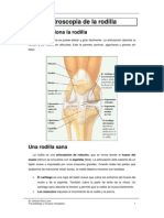 Artroscopia No Xeonllo