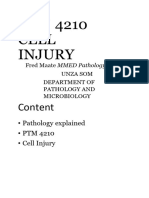 Cell Injury Hand Out - 1