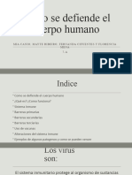 Como Se Defiende El Cuerpo Humano