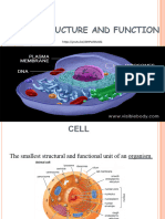 Cell Structure Function