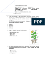 Evaluación de Las Plantas