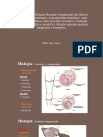 Biomecânica Do Sistema Muscular